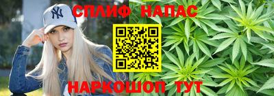 Альфа ПВП Дубна