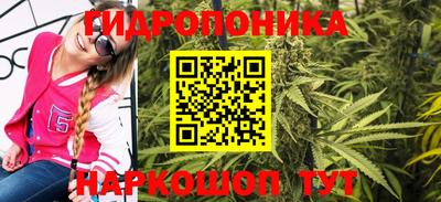 прущие крисы Донецк