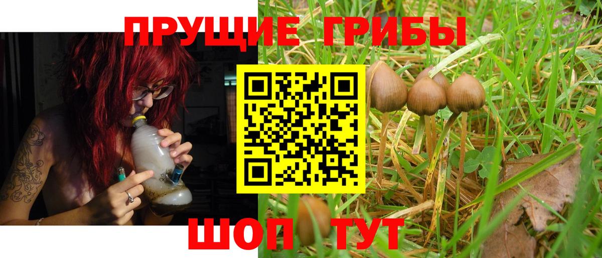 Псилоцибиновые грибы мухоморы Лесосибирск